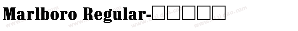 Marlboro Regular字体转换